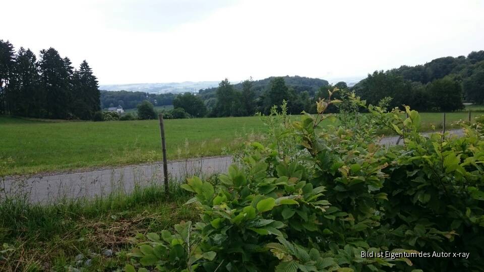 Schöne Aussicht
